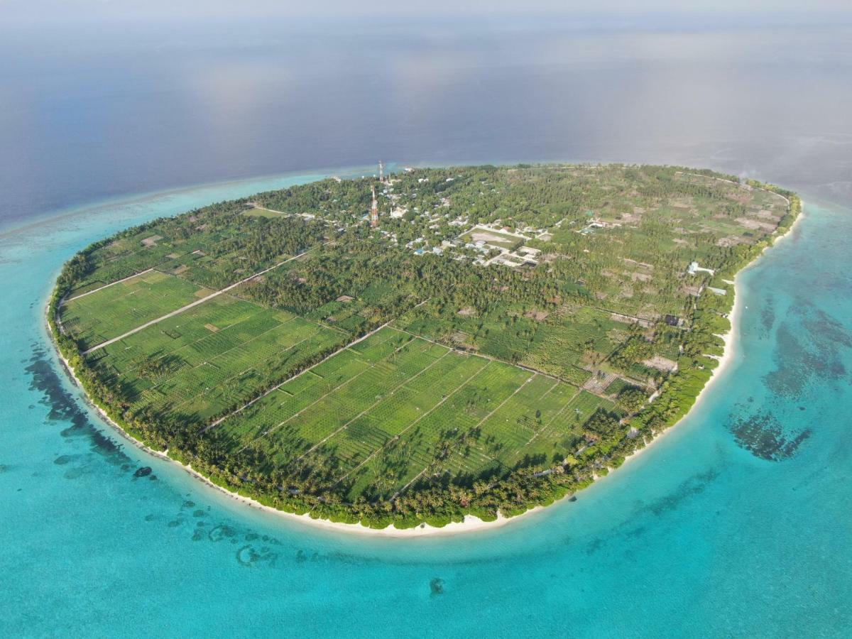 Summer Inn Thoddoo Luaran gambar