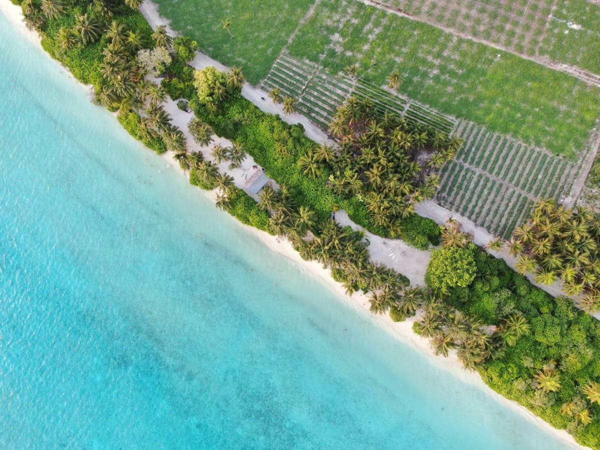 Summer Inn Thoddoo Luaran gambar